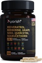 Resveratrol Ergänzung | Berberine Grape Seed Extrakt Quercetin Grüner Tee Extrakt Acai Noni Polyphenol Ergänzung für Frauen und Männer, N-Acetyl Cystein NAD Booster 120 Zähler