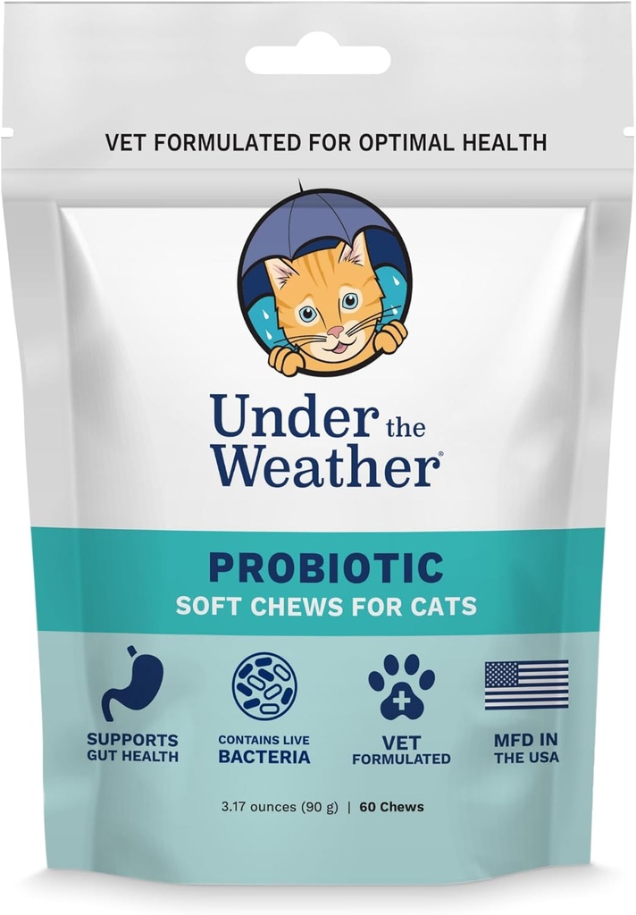 Sous la météo Animaux Probiotiques Chews pour les chats