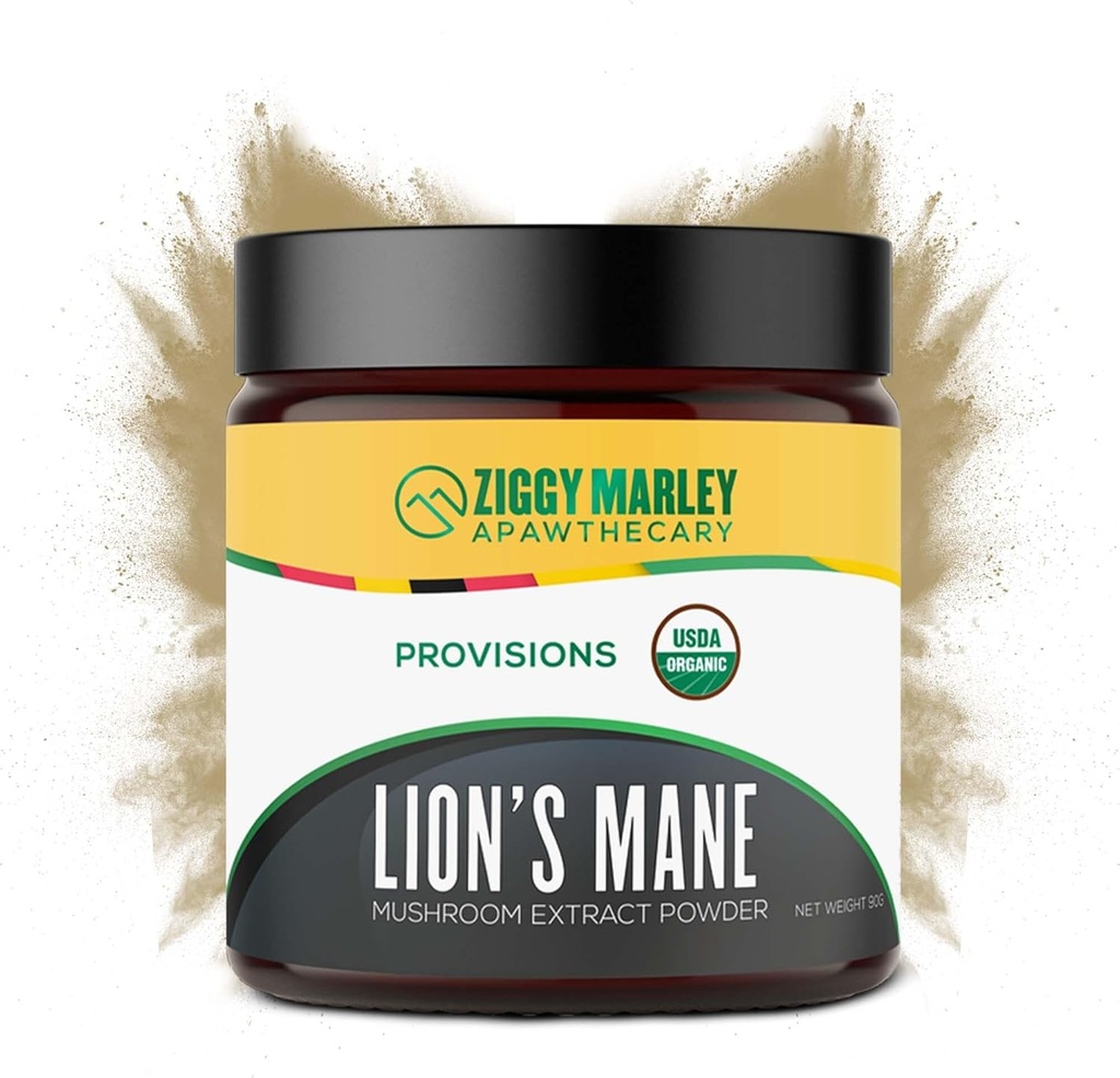 Leoni Organici Mushroom Polvere per cani e gatti – Cognizione di supporto – USDA Organic Fruiting Body Extract, 45 Servings in un vaso Resealable