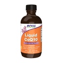 Suppléments, CoQ10 Liquide, 100 mg par teaspoon, avec des vitamines Co-enzyme B, sucré avec du Xylitol, 4-Ounce