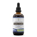 Secrets of the Tribe Muira Puama Tincture Alcohol-Free Liquid Extract, Muira Puama (Ptychopetalum Olacoides) Getrocknete Bark (4 FL OZ)