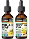 BIO KRAUTER Mullein Teinture 2 Fl. Oz. & Dandelion Teinture 2 Fl. Oz.