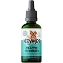 Nzymes® Tracite Minéraux pour animaux domestiques - Acides fulviques, acides humiques et traces minérales à base de fer et acides aminés pour l'énergie ATP et la santé digestive - Fabriqué aux États-Unis