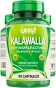 Wixar Polypodium Leucotomos Capsules – Calaguala Fern lascia erba estratta con Polypodium Leucotomos Pills - Immune vegetariano, pelle, integratori di supporto alcalino per gli uomini e le donne – 90 capsule