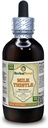 Thistle de lait (Silybum Marianum) Teinture, graines séchées organiques Extrait liquide (Marque: HerbalTerra, Fièrement fabriqué aux États-Unis) 4 fl.oz (120 ml)