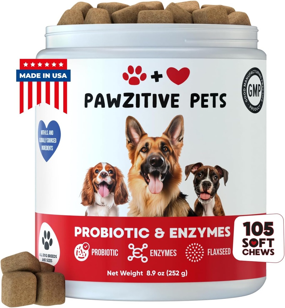 Probiotiques pour chiens santé digestive - Probiotique Chews pour la santé de Gut, la levure cutanée démangeaison, la diarrhée - États-Unis Produit - Supplément de soutien immunitaire - Dog soutien digestif et anti-allergie Chews avec enzymes