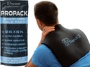 TheraICE PROpack Cold Therapy Reutilisable Cold Gel Ice Pack - Extra Large 12x15 - Idéal pour la douleur musculaire au dos, l'épaule, le genou de hanche - Oversize Multipurpose Cold Icepack pour les douleurs et les douleurs mineures