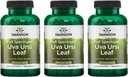 Swanson Full-Spectrum Uva Ursi Leaf - Integratore Herbal Supporting Kidney & Urinary Tract Health - May Support Cardiovascular System Function & Bladder Health - (100 Capsule, 450mg Ogni) 3 Pack