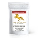 Addictive Wellness Reishi Pilzextrakt Pulver + Spores (50/50 Blend) Wood Grown Pure & Potent Wildcrafted Ganoderma (100 Gramm)