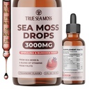 TrueSeaMoss Irish Sea Moss Drops - 5X Plus fort que le gel de mousse de mer - 92+ Minéraux essentiels - avec poudre de Spiruline, racine de Burdock et cumin noir - 2 Fl Oz (60ml) - Arôme frais
