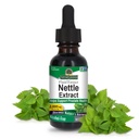 Nature's Answer Nettle Leaf 1oz Extrakt | Prostata Suppot | Konzentriert Dark Green Nettle Blatt Kräuterergänzung | Non-GMO, Kosher, Gluten-Free, & Alcohol-Free | Single Count