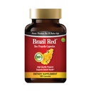 Brésil Propolis à haute concentration d'abeilles rouges (120 capsules)