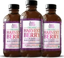 Syrup di bacche di raccolta organica di Andi Lynn per bambini e adulti – Siro di mirtillo di miele reale per il supporto immunitario - Formula terapeutica - 4 Fl. Oz (Pack of 3)