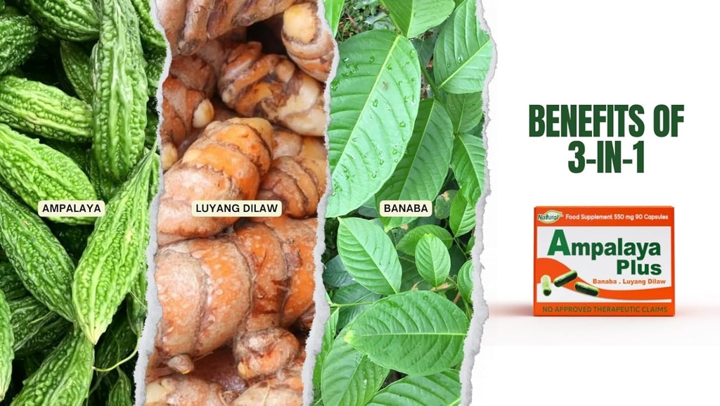 Ampalaya Plus 550mg 90 Kapseln - Paket von 1 - mit Banaba, Turmeric Ginger und Bitter Melon von Ampalaya Plus - Halal Herbal Ergänzungen