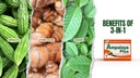 Ampalaya Plus 550mg 90 Kapseln - Paket von 1 - mit Banaba, Turmeric Ginger und Bitter Melon von Ampalaya Plus - Halal Herbal Ergänzungen