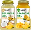 Sea Moss Gel Organic Raw (Bundle of 2 Jars 24oz) Kokosnuss Ananas und Mango Ananas Wildbemaltes Gold Sea Moss Gel von Saint Lucia | 92 Vitamine und Mineralien | Pure Raw+Non-GMO | Vegan Superfood