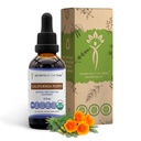 Secrets de la tribu Californie Teinture Poppy Extrait liquide sans alcool, USDA Bio Californie Poppy (Eschscholzia Californica) Racine séchée (2 FL OZ)