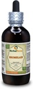 Bromelain (Ananas Comosus) Tintura, Estratto di liquido della polvere secca (Nome: HerbalTerra, Realizzato in USA) 4 fl.oz (120 ml)