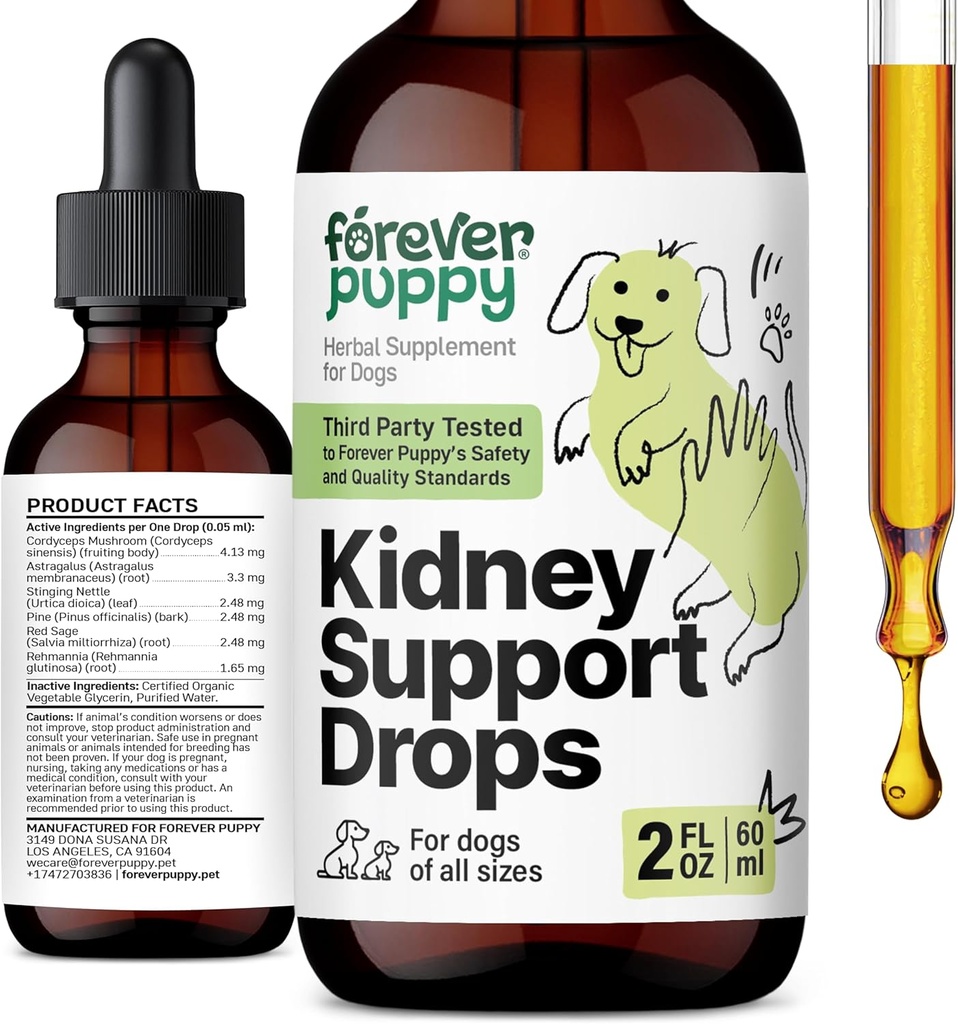 Des gouttes de soutien pour chien pour les chiens - Cordyceps Champignon, Astragalus, Extrait de Nettle Leaf - Vitamines et suppléments liquides pour chien - Teinture sans sucre et sans alcool - 2 fl oz