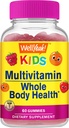 WellYes Kids Multivitamin Gummies | Vitamina C, D3, E, A, B6, B12, Biotina, Zinco, Acido Folico, Iodio e Niacina | Supporto Immune ed Energia | Arancio e Agrodolore | 60 Conte