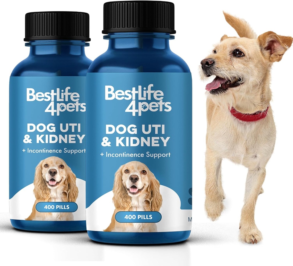 BestLife4Pets Hund UTI Nierenunterstützung, Natürliche Harnwege Infektion Behandlung, Nieren- und Blasenkontroll-Ergänzung, Einfach zu bedienen Pillen 2 Pack