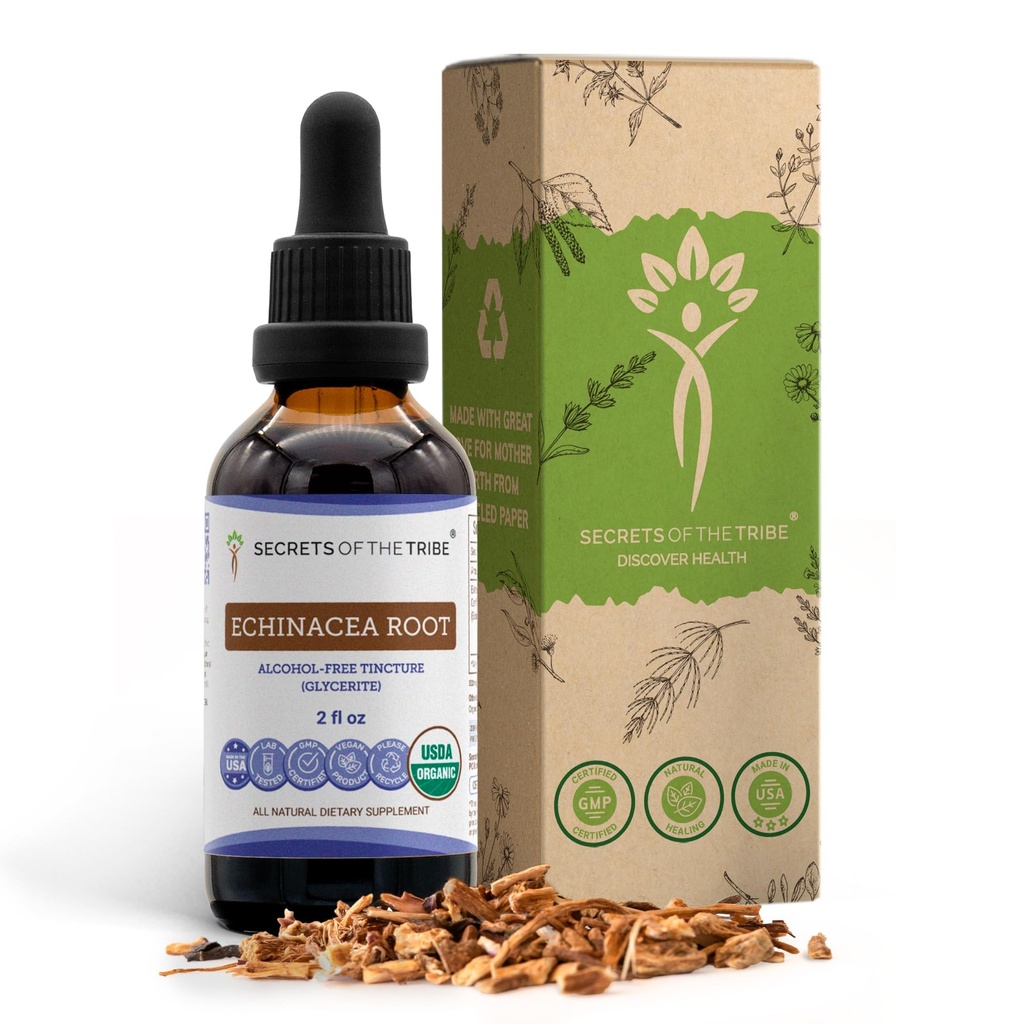 Racine d'échinacée Teinture biologique USDA Extrait sans alcool, gouttes à base de plantes à haute puissance, santé du système immunitaire