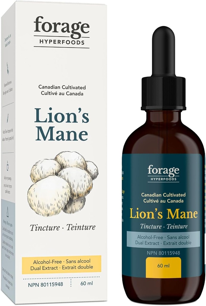 Tintura Mane del leone, con estratto di funghi Premium, per il miglioramento della memoria e il supporto Nerve, doppio estratto, senza alcool, 60 ml