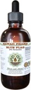 Drapeau bleu Extrait liquide sans alcool, Drapeau bleu biologique (Iris versicolor) Glycérite séchée à la racine Hawaii Pharm supplément naturel à base de plantes 2 oz