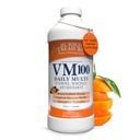 Buried Treasure VM100 Complete Daily Liquid Vitamins and Minerals plus Antioxidantien Ergänzung für maximale Absorption Great Tasting Orange Zest Flavor 32 Portionen 32 Unze