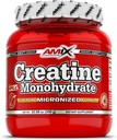 Amix Creatine Monoidrato - Polvere 300 Grammi