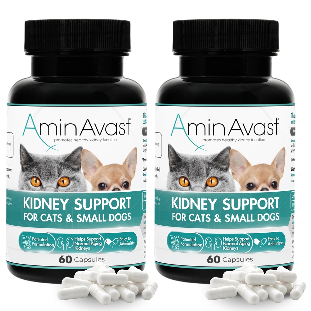 AminAvast Kidney Support Supplement für Katzen und kleine Hunde, 300mg 2-Pack - Fördert natürliche Nierenfunktion - Hilfsmittel in Gesundheit und Vitalität von Aging Kidneys - einfach verwaltet - 60 Sprinkle Capsules