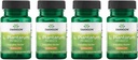 Swanson L. Plantarum - Digestive Supplement Promoting Gastrointestinal Balance & Bowel Regularity - Natural Formula to Help Reduce Bloating - (30 Veggie Capsules) 4 Pack