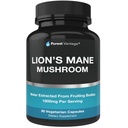 Bio Lions Mane Mushroom Capsules - 1800mg Lion's Mane Mushroom Supplement Grown in USA - Nootropic Brain Supplement und Immununterstützung - Lions Mane Extract Powder - 90 Veggie Caps