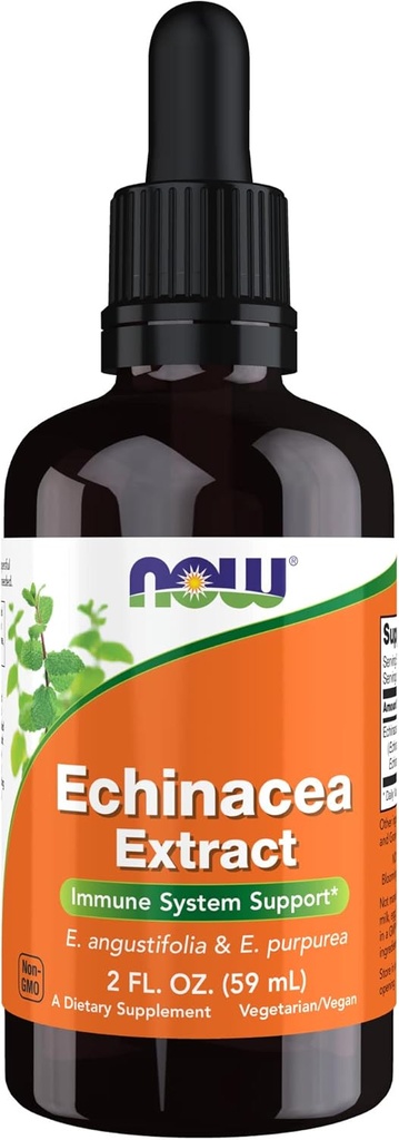 MAINTENANT compléments alimentaires, extrait d'échinacée liquide avec goutteuse, système immunitaire support*, 2-Ounce
