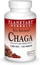 Planetary Herbals Chaga Full Spectrum, Enhance Cellular Immunity, 120 Count (Pack von 1)