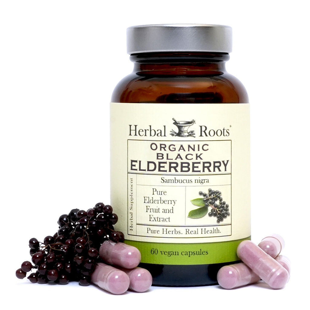 Racines à base de plantes Capsules de mûrier noir biologique de Max Strength de 60 capsules végétaliennes