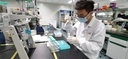 Protéase d'alcaline d'alimentation 200000 u/ml pour le bétail, la volaille, les porcs et les poulets, additifs pour l'alimentation animale, préparations enzymatiques 1000 Grams.