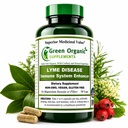 Grüne organische Ergänzungen Lyme-Borreliose, Immunsystem Enhancer, Antibiotic (Pack von 1)