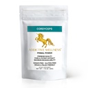 Addictive Wellness Cordyceps CS-4 Extraktpulver - Pure & Potent für Energie und Ausdauer, 1 Packung