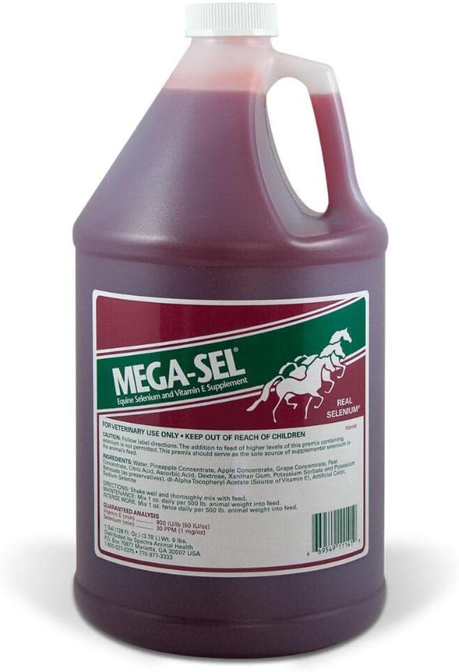 Mega-Sel Flüssige Formel für Pferde, 1 Gallon (128 Fl oz)