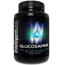 Intelligent Labs Glucosamine et Chondroïtine Complexe à haute résistance avec MSM. 180 Capsules.