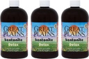Yerba Prima Great Plains Bentonite Clay - 16 oz (Pack von 3) - Natural Interne flüssige Clay Reinigungsergänzung