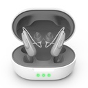 True Hearing Aids (Not Amplifier) 11 Channals Professionale Ricaricabile Apparecchi acustici Impermeabili per gli anziani Serve con il rumore Cancelling Hearing Aid con Magnetic Charging Box (Grey)