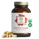 Extrait de Fucoidan SuperPure SYNERGY sans gluten de l'algue brune biologique pour la santé immunitaire, la digestion et le vieillissement en santé (60 capsules)