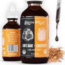 Hodgins Harvest Bio Lion's Mane + Cordyceps Tincture | Hergestellt mit Pilzen auf unserer Farm in den USA | Dual Extract | Extra-Concentrated (4 fl oz)