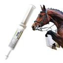 Ramard Total Energy und Stamina Unterstützung mit B Vitaminen & Aminosäuren, Maximiert Sauerstoffkapazität, Spitzenleistung im Wettbewerb oder Workouts, Leistungsstarker Vasodilator, Oral Gel, 15 cc Syringe, 1-Pack