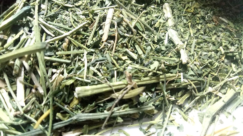 Antike indische Ayurvedische Kräuter Swertia,Chirayata, Chirata von Sanaa Zesty (4)