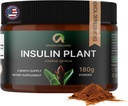 Premium Quality Costus Igneus (Insulinpflanze) Pulver - Kein schlechter Geschmack (2 Monate Versorgung) - Made in the USA - inklusive Kompletter Gesundheitsunterstützungsprogramm