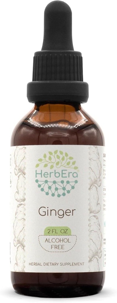 HerbEra Ginger B60 Alkoholfreie Kräuterextrakt-Tinktur, Super-Concentrated Ginger (Zingiber officinale) 2 fl oz