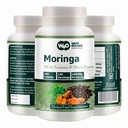 Moringa Tabletten mit Turmeric und Black Pepper, 300 Pillen, 5 Monate Lieferung, 150 Servieren, 1000 Mg pro Servieren. Eine Kapsel mit mehreren Vorteilen - unterstützt Verdauungsgesundheit (Pack von 1)